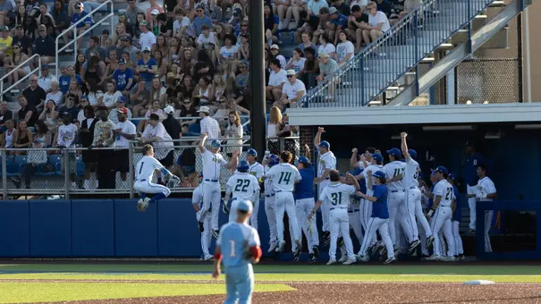 Baseball celebration