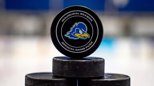 Hockey Puck