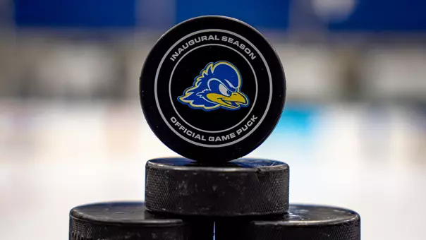 Hockey Puck