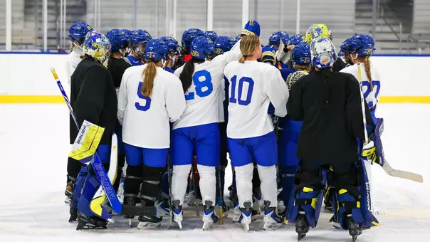 Ice Hockey Team - Practice
