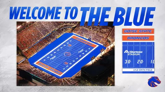 The Blue Replacement Graphic