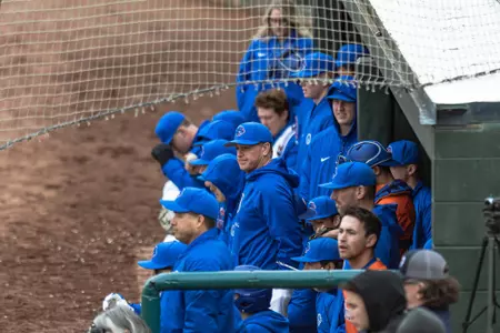 Jerry Hollow 2020 Action