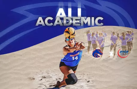 BVB AVCA Academic Team Award