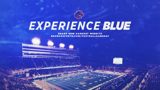 Experience Blue: Gameday Page Graphic