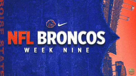 NFL Broncos Week Nine webslider