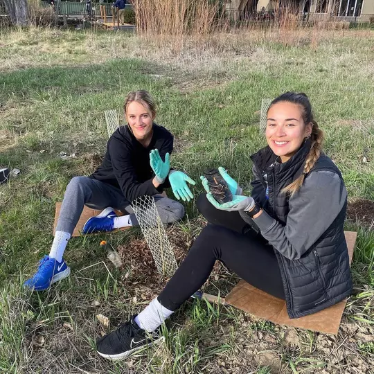 Year in Review Sierra Land