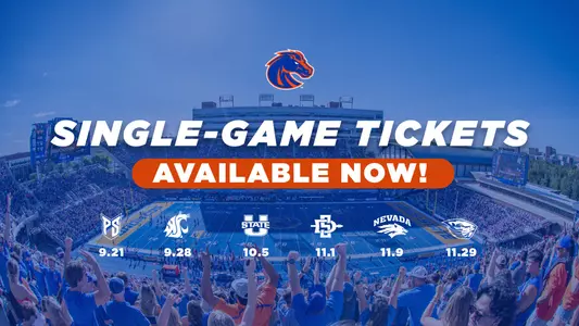 Graphic advertising single game football tickets for sale