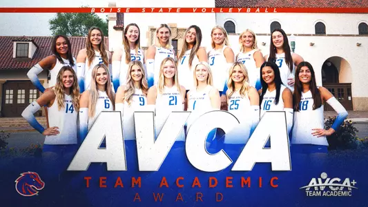 AVCA 2025 Team Academic Award graphic.