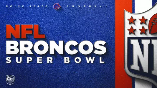 NFL Broncos Super Bowl webslider