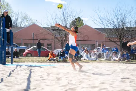 Allyson Alden Setting