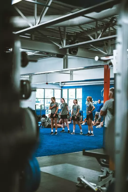 Natalie Pasco, Dani Bayes, My