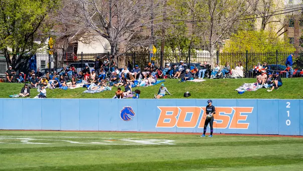 Softball Crowd