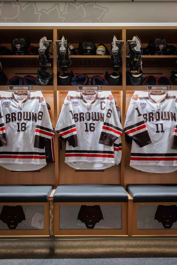 Meehan Renovation Photos