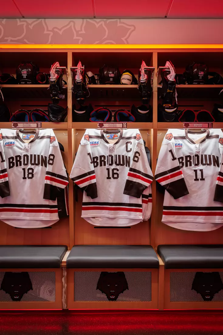 Meehan Renovation Photos