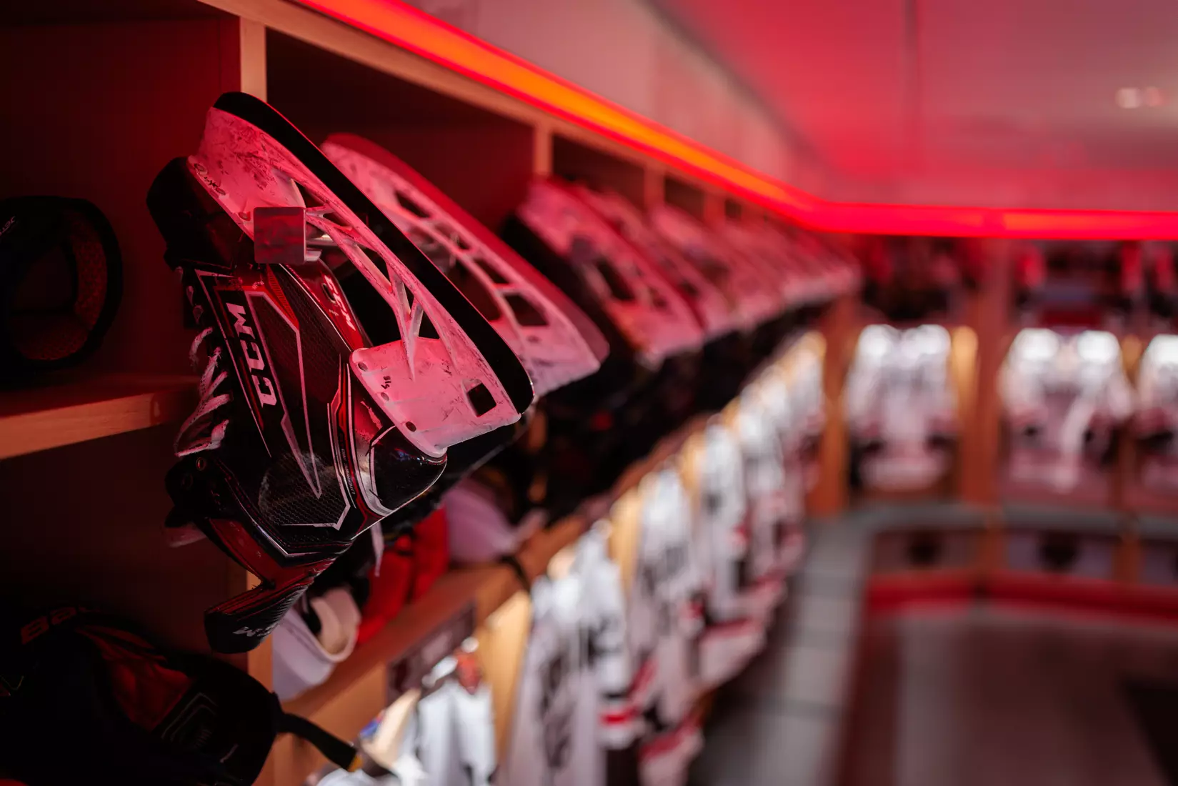 Meehan Renovation Photos