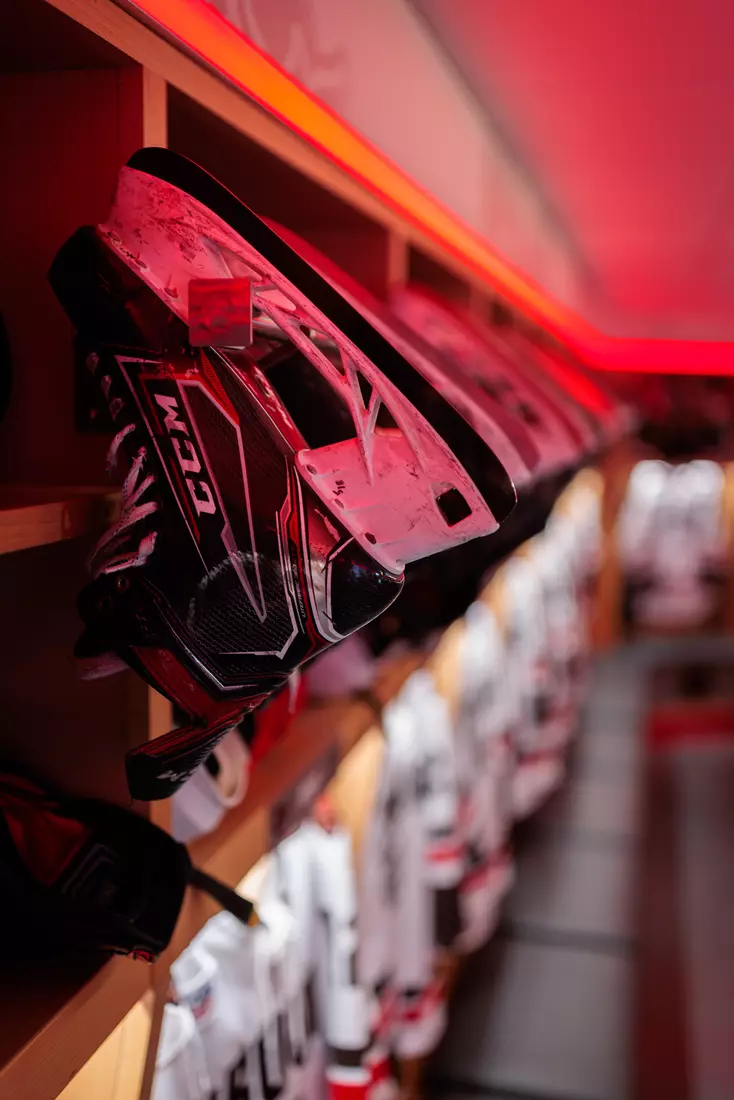 Meehan Renovation Photos