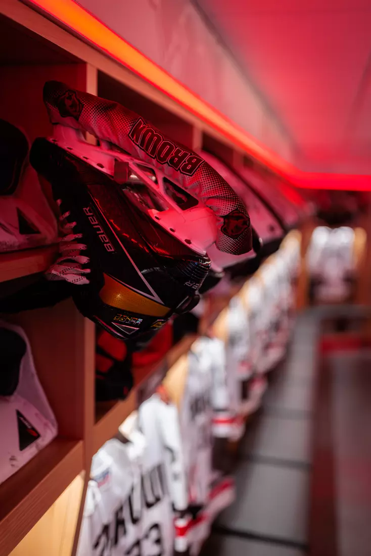 Meehan Renovation Photos