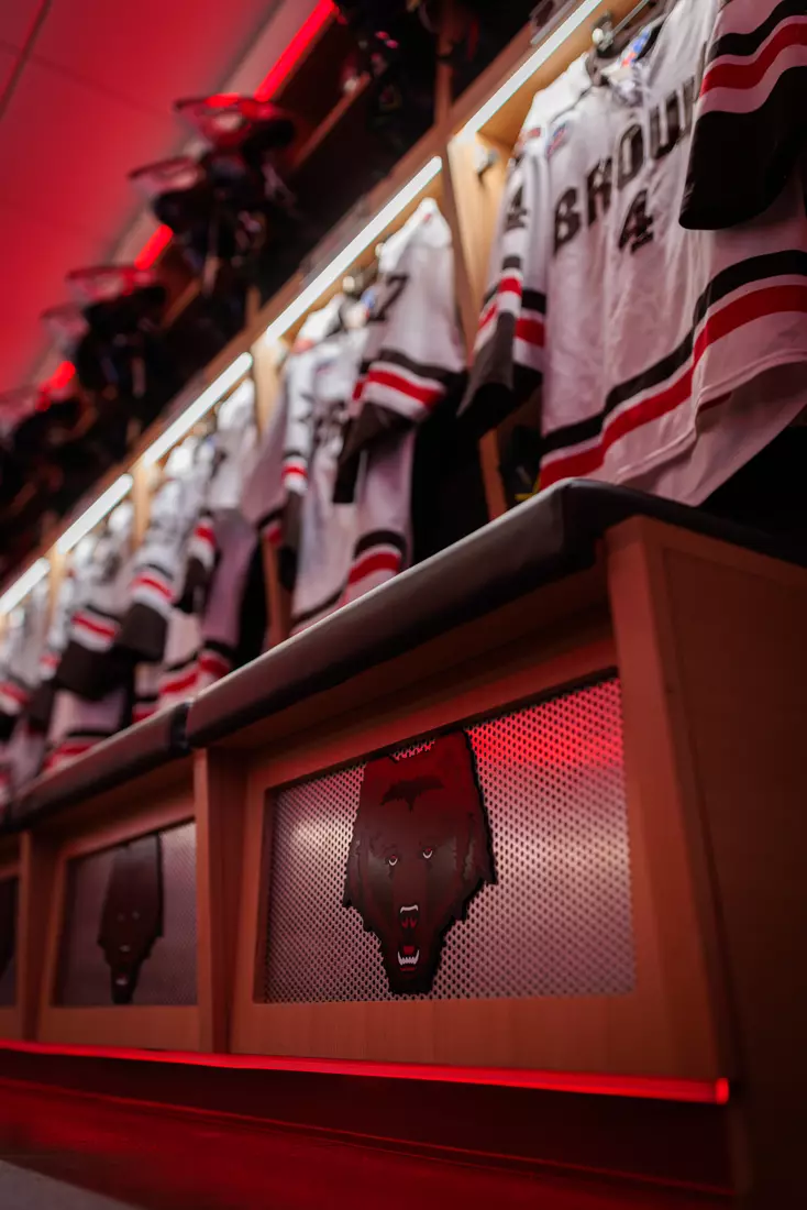 Meehan Renovation Photos