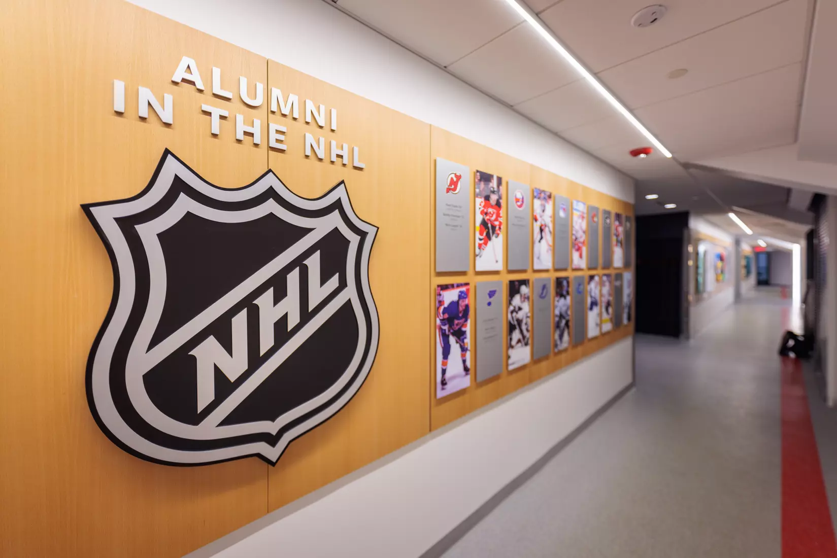 Meehan Renovation Photos