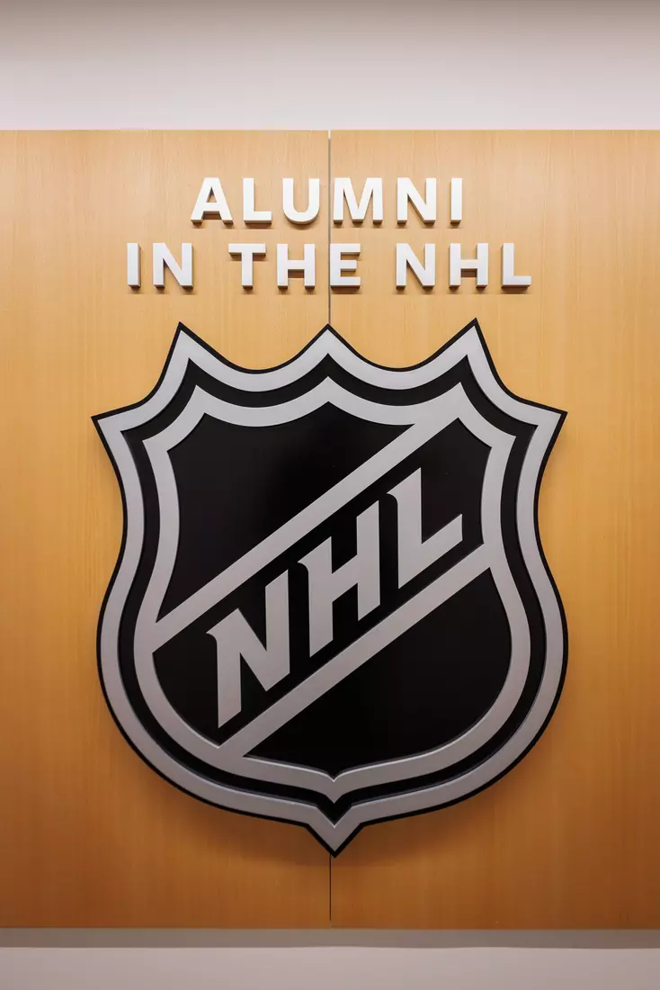 Meehan Renovation Photos