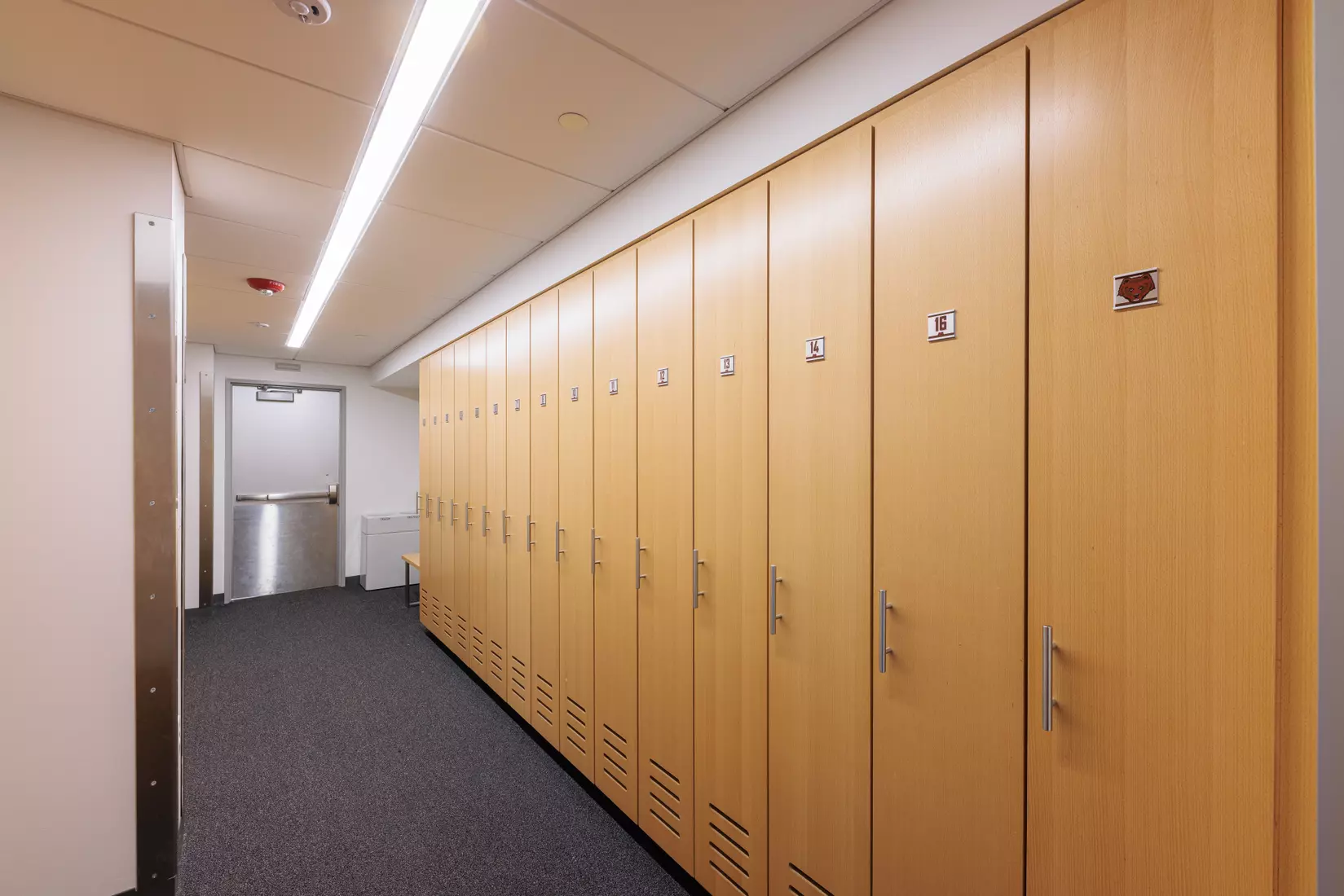 Meehan Renovation Photos