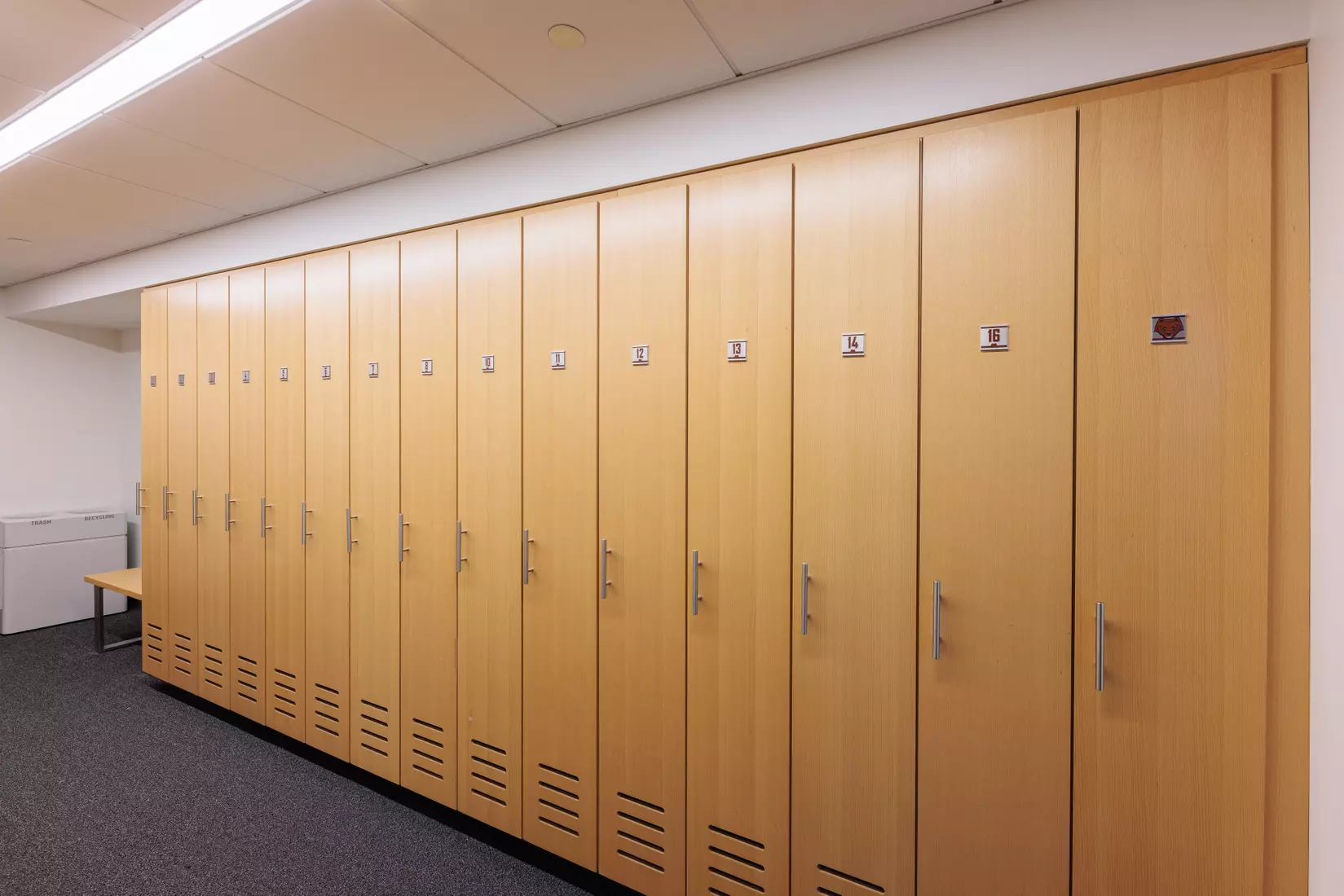 Meehan Renovation Photos