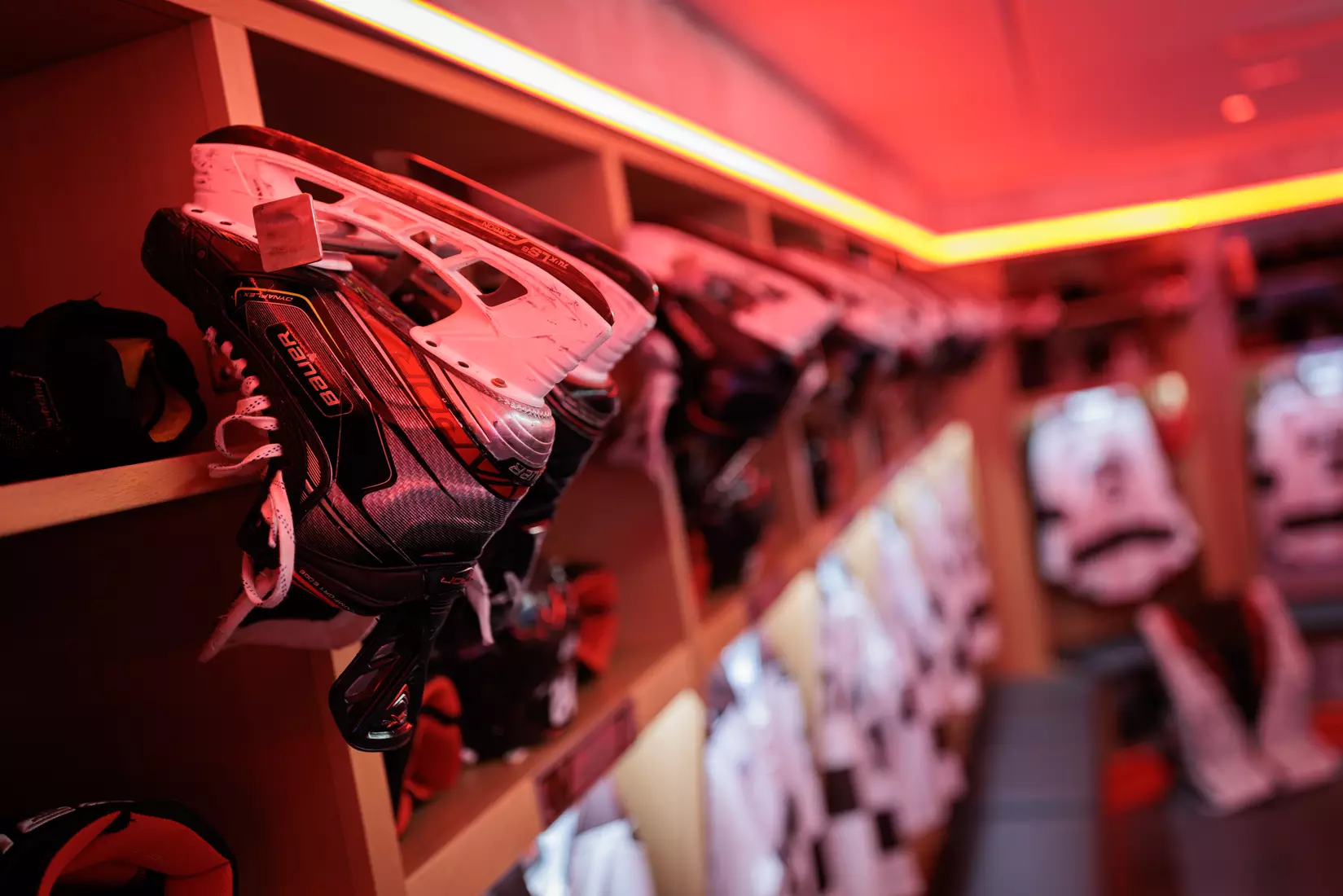 Meehan Renovation Photos