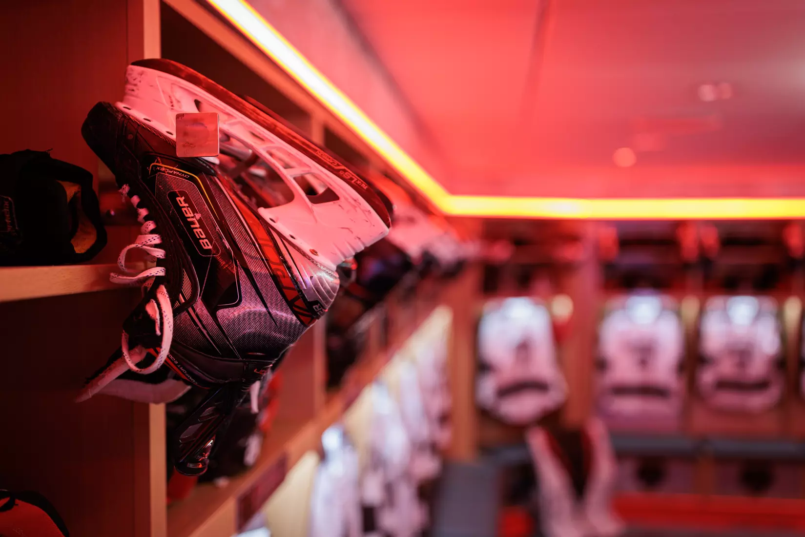 Meehan Renovation Photos