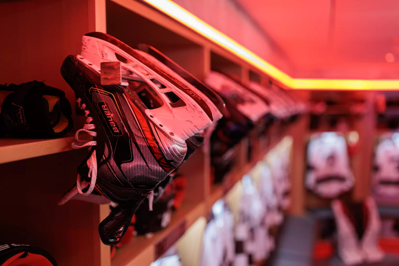 Meehan Renovation Photos