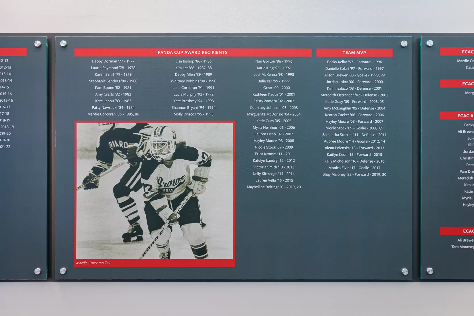 Meehan Renovation Photos