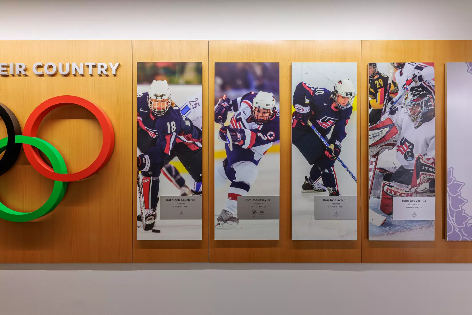 Meehan Renovation Photos