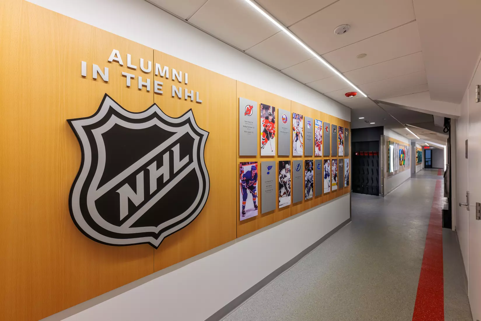 Meehan Renovation Photos