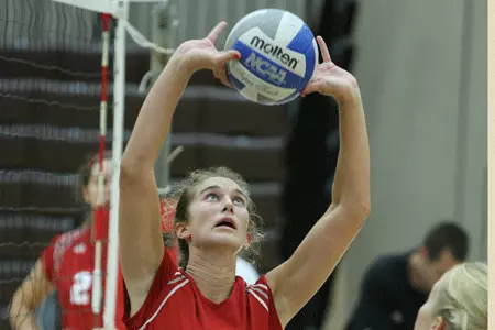 Princeton Takes 3-0 Win Over Bears Image