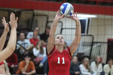 Bears Earn Split at Bryant Invitational Image