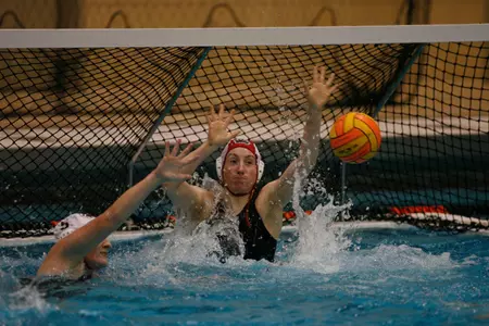 Bears Earn CWPA Northern Division Honors Image