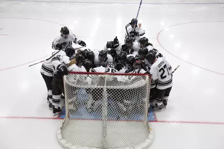 Women's Ice Hockey Announces the Class of 2014 Image