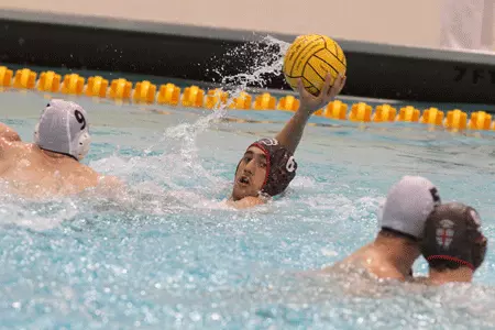 Bears Top Queens 10-9; Fall to St. Francis 14-9 Image