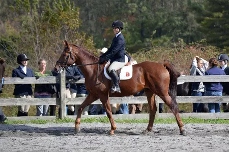 Brown Remains In Overall Points Lead After Third-Place Finish at Becker Show Image