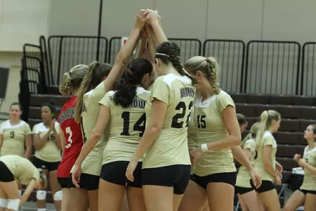 Hofer's Career Performance Not Enough On Senior Night as Penn Tops Brown, 3-1 Image