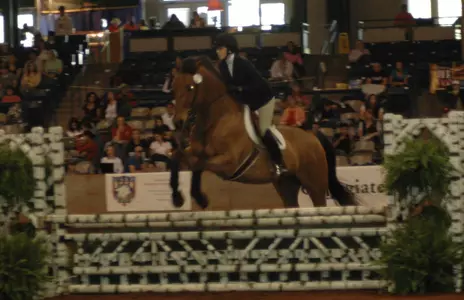 Brown Wins Again at Holy Cross; Fishelson Takes Cacchione Cup Title Image