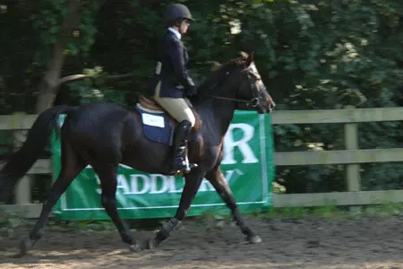 Brown Equestrian Wins Ivy League Show Image