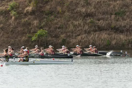 Varsity Eight and Second Varsity Advance to Grand Finals at NCAA Championship Image
