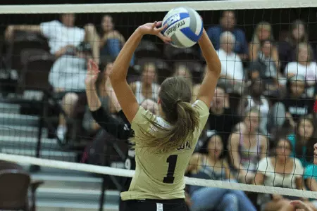 Brown Falls 3-0 in Season Opener at Sacred Heart Image