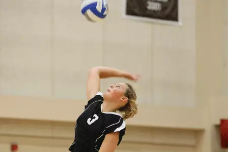 Yale Downs Brown in Ivy League Opener Image