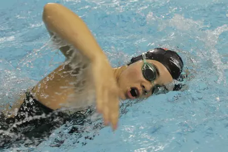 Brown Swimming & Diving Takes on FAU & Penn Image