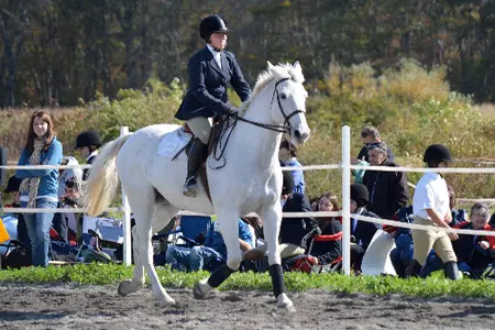 Brown Equestrian Uses Comeback to Tie URI for First at UMass-Dartmouth Show Image