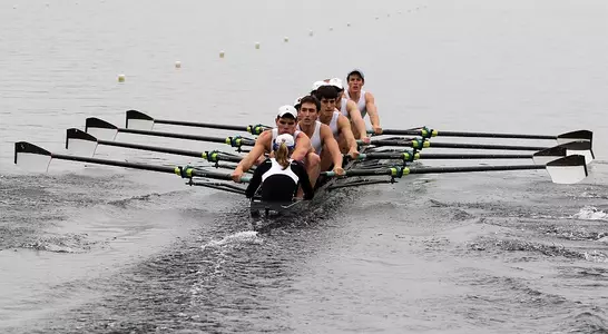 No. 4 Brown Men's Crew Sweeps No. 15 Dartmouth Image
