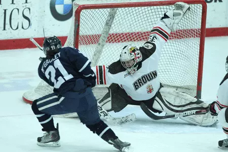 Brown Women's Ice Hockey Announces Team Awards Image