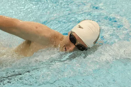 Brown Downs Bryant, 119-62 Image