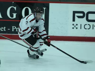 #16 RPI Forces Deciding Game with 6-2 Win in Game Two Image